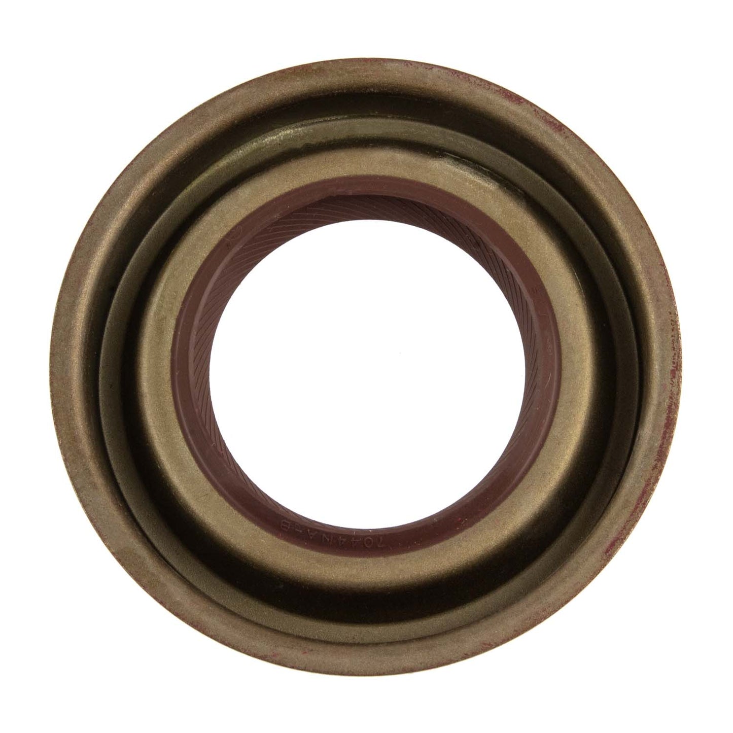 Oil Seal