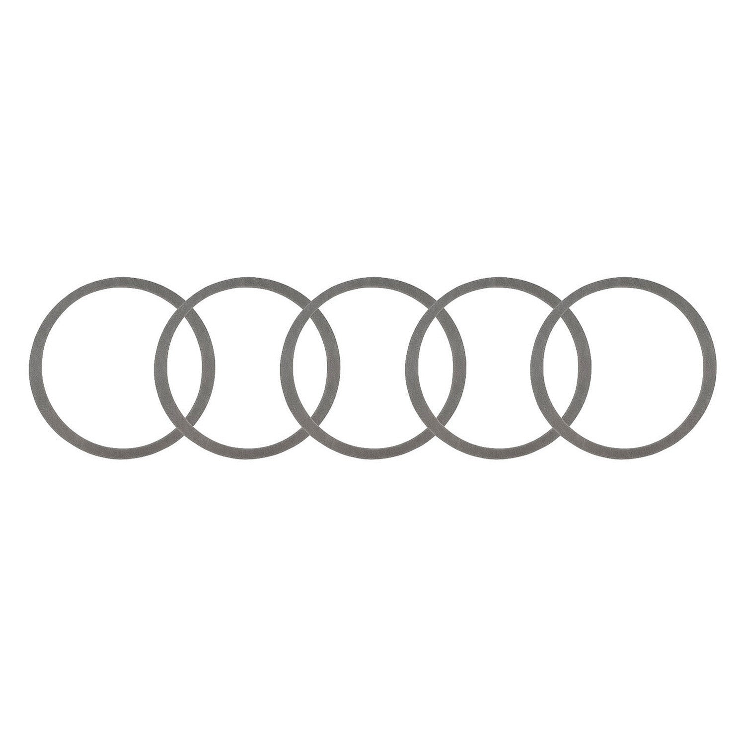 Differential Pinion Shim Kit – My Store